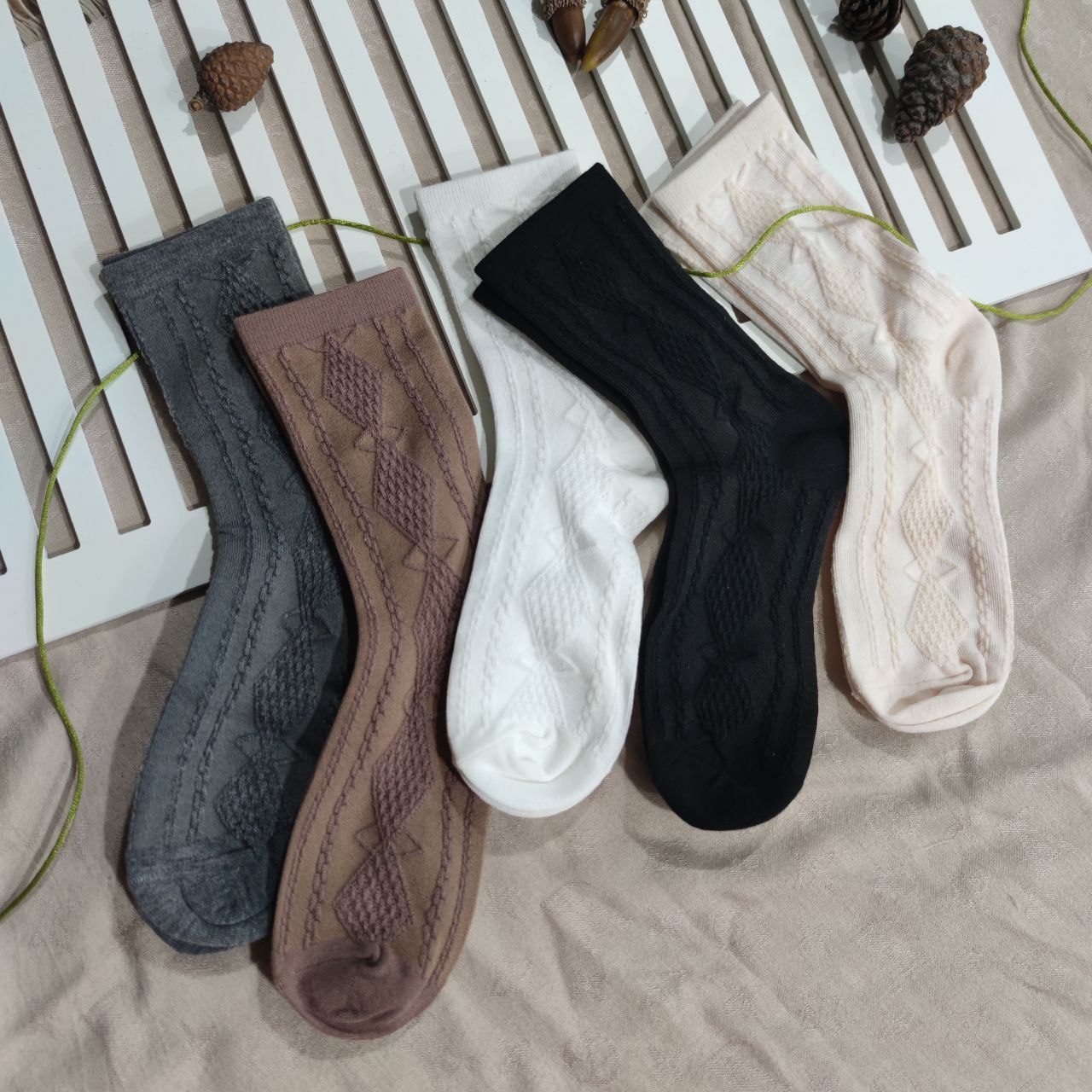 در پنج رنگ مختلف